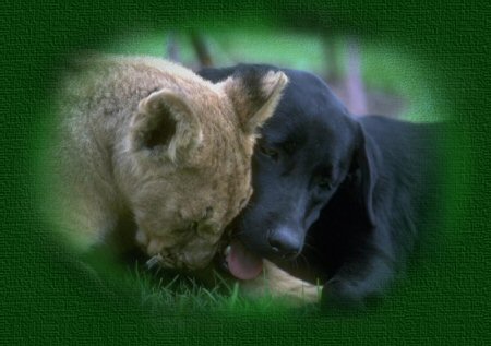 The Miracle of Friendship